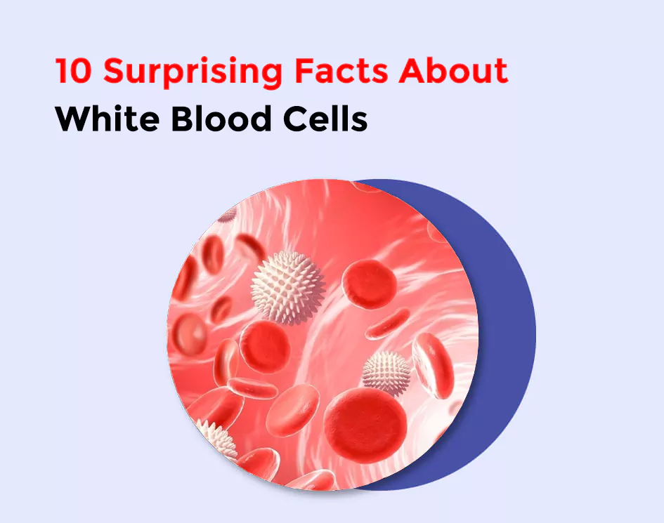 10 Surprising Facts About White Blood Cells