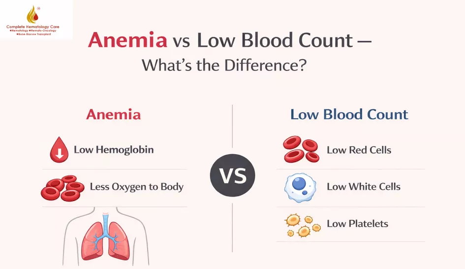 Anemia vs Low Blood Count: Is It the Same Thing?