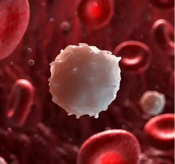 White Cell Disorder